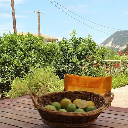 شقة Lemon Tree 1 *