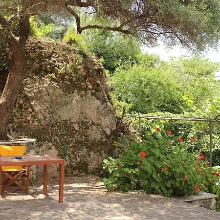 Lemon Tree 1 شقة *